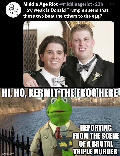 They won’t be missed | HI, HO, KERMIT THE FROG HERE; REPORTING FROM THE SCENE OF A BRUTAL TRIPLE MURDER | image tagged in kermit news report,donald trump is an idiot,eric trump,donald trump jr | made w/ Imgflip meme maker