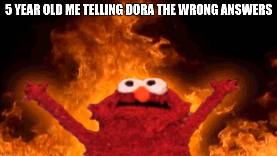 me | 5 YEAR OLD ME TELLING DORA THE WRONG ANSWERS | image tagged in elmo fire,child memes | made w/ Imgflip meme maker