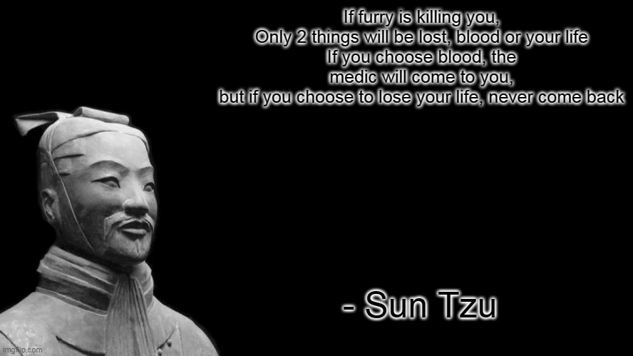 Sun Tzu said that | If furry is killing you,
Only 2 things will be lost, blood or your life
If you choose blood, the medic will come to you,
but if you choose to lose your life, never come back; - Sun Tzu | image tagged in sun tzu | made w/ Imgflip meme maker
