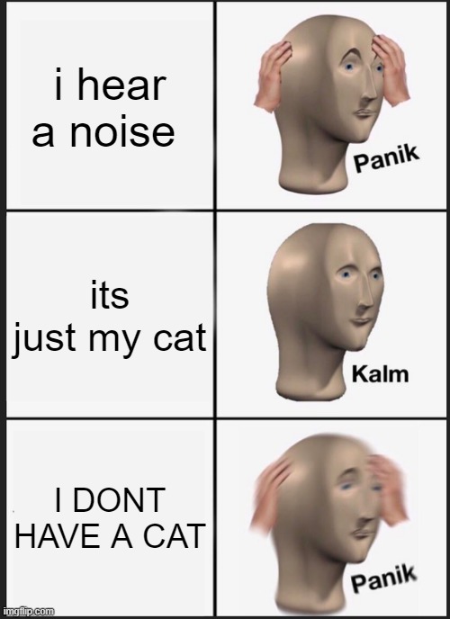Panik Kalm Panik Meme | i hear a noise; its just my cat; I DONT HAVE A CAT | image tagged in memes,panik kalm panik | made w/ Imgflip meme maker