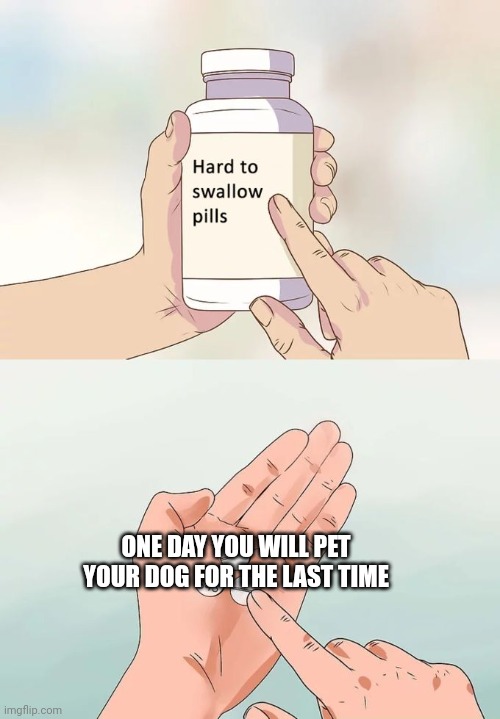 Hard To Swallow Pills Meme | ONE DAY YOU WILL PET YOUR DOG FOR THE LAST TIME | image tagged in memes,hard to swallow pills | made w/ Imgflip meme maker