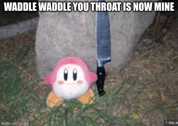 waddle dee with a knife | WADDLE WADDLE YOU THROAT IS NOW MINE | image tagged in waddle dee with a knife,run | made w/ Imgflip meme maker