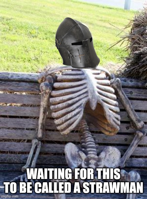 Waiting Skeleton Meme | WAITING FOR THIS TO BE CALLED A STRAWMAN | image tagged in memes,waiting skeleton | made w/ Imgflip meme maker