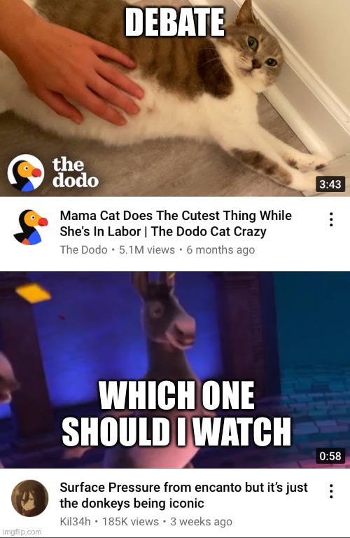 DEBATE; WHICH ONE SHOULD I WATCH | made w/ Imgflip meme maker