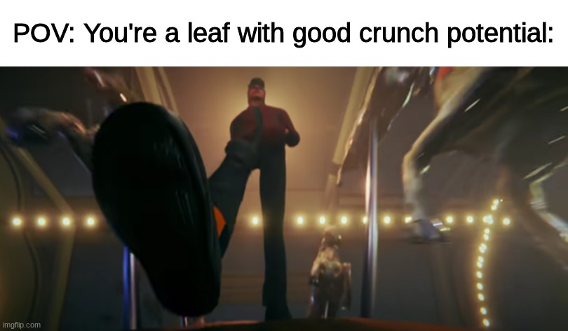 New Template | POV: You're a leaf with good crunch potential: | image tagged in pov,memes,funny,leafs | made w/ Imgflip meme maker