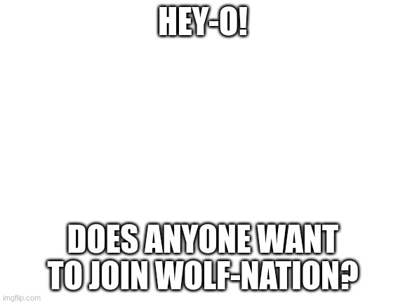 we need alpha, some hunters, and some fighters. | HEY-O! DOES ANYONE WANT TO JOIN WOLF-NATION? | image tagged in blank white template | made w/ Imgflip meme maker