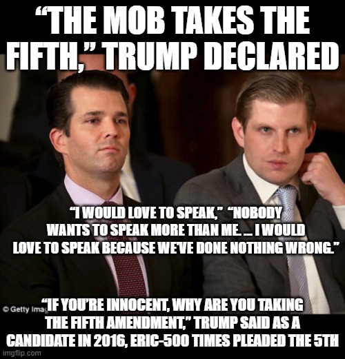 Donald Jr. and Eric Trump | “THE MOB TAKES THE FIFTH,” TRUMP DECLARED; “I WOULD LOVE TO SPEAK,”  “NOBODY WANTS TO SPEAK MORE THAN ME. … I WOULD LOVE TO SPEAK BECAUSE WE’VE DONE NOTHING WRONG.”; “IF YOU’RE INNOCENT, WHY ARE YOU TAKING THE FIFTH AMENDMENT,” TRUMP SAID AS A CANDIDATE IN 2016, ERIC-500 TIMES PLEADED THE 5TH | image tagged in donald jr and eric trump | made w/ Imgflip meme maker