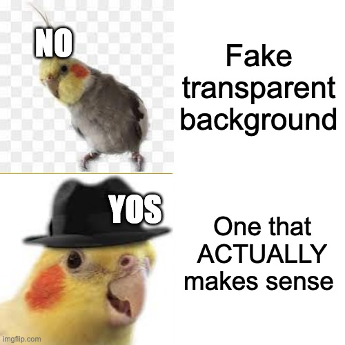 Mah first meme | NO; Fake transparent background; YOS; One that ACTUALLY makes sense | image tagged in memes,drake hotline bling,cockatiel | made w/ Imgflip meme maker