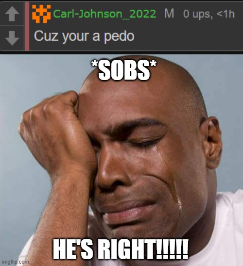 *SOBS*; HE'S RIGHT!!!!! | image tagged in black guy crying | made w/ Imgflip meme maker