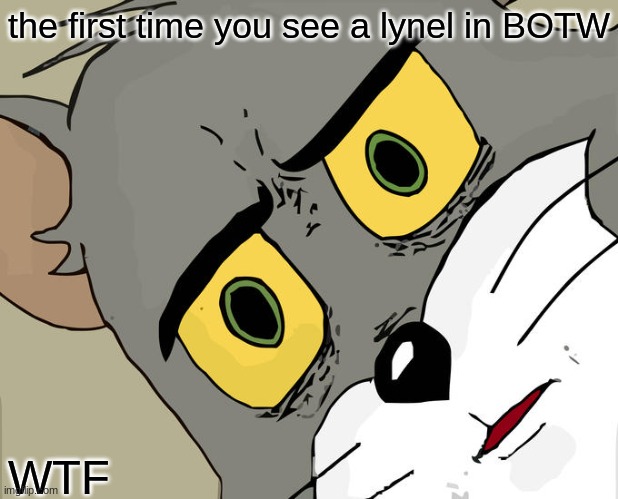 Unsettled Tom | the first time you see a lynel in BOTW; WTF | image tagged in memes,unsettled tom | made w/ Imgflip meme maker