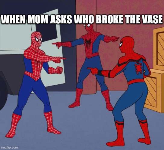 Who broke the vase!? |  WHEN MOM ASKS WHO BROKE THE VASE | image tagged in spider man triple,mom | made w/ Imgflip meme maker