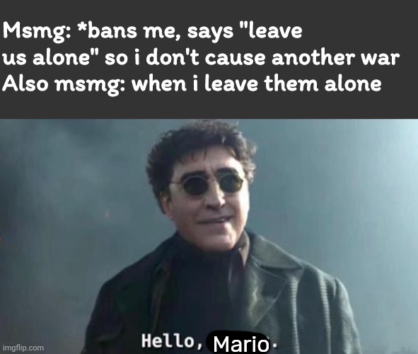 Msmg: *bans me, says "leave us alone" so i don't cause another war
Also msmg: when i leave them alone; Mario | image tagged in hello peter | made w/ Imgflip meme maker