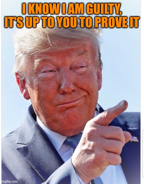Trump pointing | I KNOW I AM GUILTY, IT'S UP TO YOU TO PROVE IT | image tagged in trump pointing | made w/ Imgflip meme maker