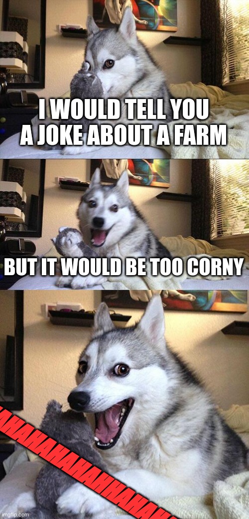 Bad Pun Dog | I WOULD TELL YOU A JOKE ABOUT A FARM; BUT IT WOULD BE TOO CORNY; HAHAHAHAHAHHAHAHA | image tagged in memes,bad pun dog | made w/ Imgflip meme maker