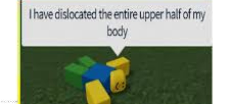 . | image tagged in roblox | made w/ Imgflip meme maker