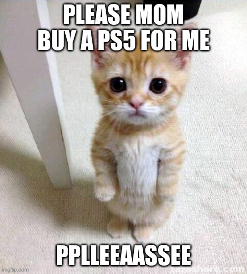 Cute Cat | PLEASE MOM BUY A PS5 FOR ME; PPLLEEAASSEE | image tagged in memes,cute cat | made w/ Imgflip meme maker