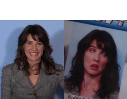 High Quality Robin Scherbatsky Photo ID Blank Meme Template