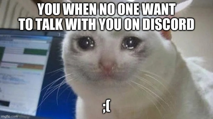 Cat cry | YOU WHEN NO ONE WANT TO TALK WITH YOU ON DISCORD; ;( | image tagged in cat cry,discord | made w/ Imgflip meme maker