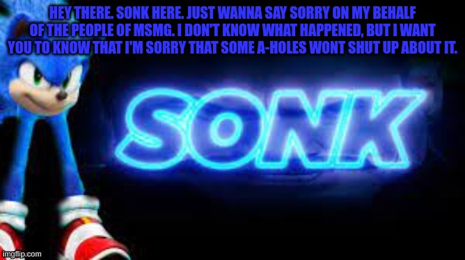 sonk | HEY THERE. SONK HERE. JUST WANNA SAY SORRY ON MY BEHALF OF THE PEOPLE OF MSMG. I DON'T KNOW WHAT HAPPENED, BUT I WANT YOU TO KNOW THAT I'M S | image tagged in sonk | made w/ Imgflip meme maker