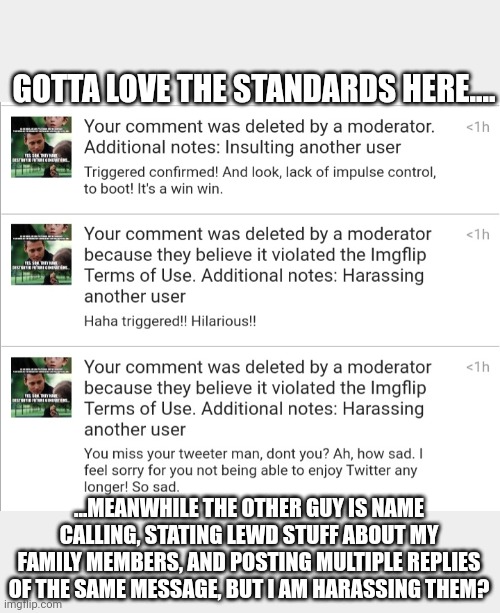 Ban hammer again! |  GOTTA LOVE THE STANDARDS HERE.... ...MEANWHILE THE OTHER GUY IS NAME CALLING, STATING LEWD STUFF ABOUT MY FAMILY MEMBERS, AND POSTING MULTIPLE REPLIES OF THE SAME MESSAGE, BUT I AM HARASSING THEM? | made w/ Imgflip meme maker