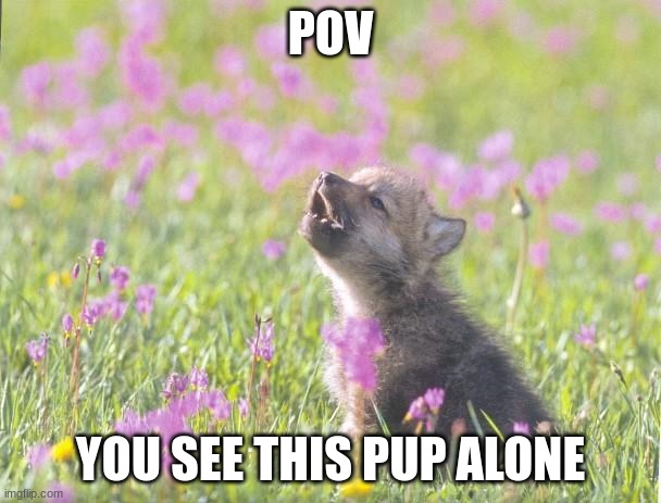 Baby Insanity Wolf | POV; YOU SEE THIS PUP ALONE | image tagged in memes,baby insanity wolf | made w/ Imgflip meme maker
