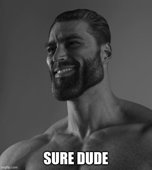 Sigma Male | SURE DUDE | image tagged in sigma male | made w/ Imgflip meme maker