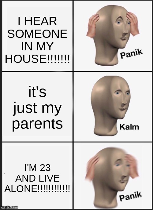 GAS GAS GAS OUT WINDOW | I HEAR SOMEONE IN MY HOUSE!!!!!!! it's just my parents; I'M 23 AND LIVE ALONE!!!!!!!!!!!! | image tagged in memes,panik kalm panik | made w/ Imgflip meme maker
