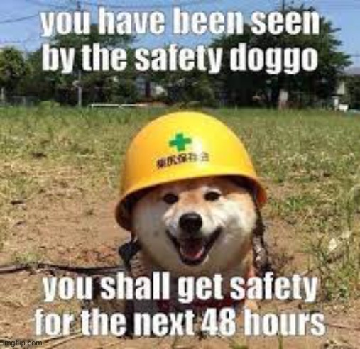 Safety doggo | image tagged in doggo | made w/ Imgflip meme maker