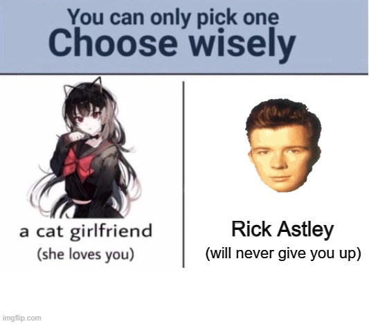 Choose wisely |  Rick Astley; (will never give you up) | image tagged in choose wisely | made w/ Imgflip meme maker