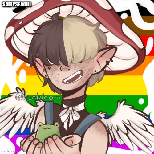 SALTYSEAGUL | made w/ Imgflip meme maker