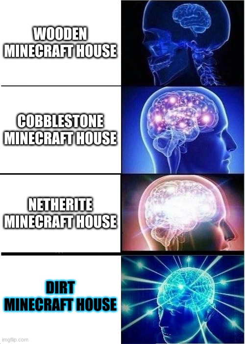 Expanding Brain Meme | WOODEN MINECRAFT HOUSE; COBBLESTONE MINECRAFT HOUSE; NETHERITE MINECRAFT HOUSE; DIRT MINECRAFT HOUSE | image tagged in memes,expanding brain | made w/ Imgflip meme maker