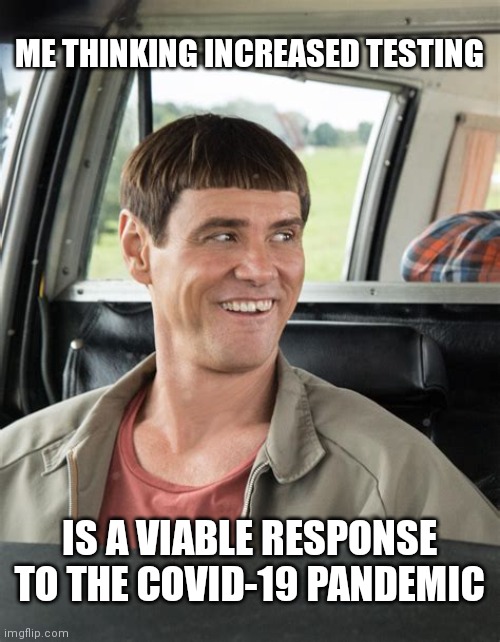 DUMB AND DUMBER GETS DUMBER | ME THINKING INCREASED TESTING; IS A VIABLE RESPONSE TO THE COVID-19 PANDEMIC | image tagged in dumb and dumber jim carrey,coronavirus,covid-19,covid vaccine,tests,dumb and dumber | made w/ Imgflip meme maker