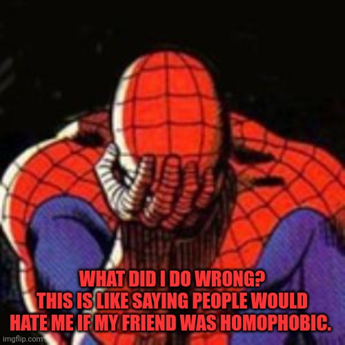 I'm sorry ok | WHAT DID I DO WRONG?
THIS IS LIKE SAYING PEOPLE WOULD HATE ME IF MY FRIEND WAS HOMOPHOBIC. | image tagged in memes,sad spiderman,spiderman | made w/ Imgflip meme maker