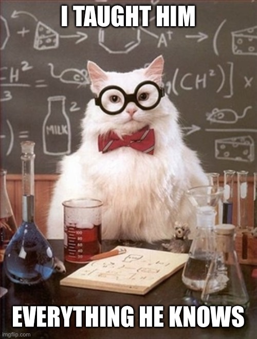 Smart cat | I TAUGHT HIM; EVERYTHING HE KNOWS | image tagged in smart cat | made w/ Imgflip meme maker