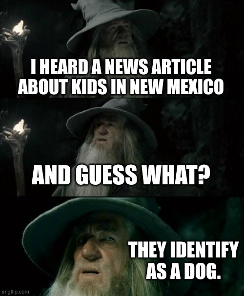 Confused Gandalf Meme | I HEARD A NEWS ARTICLE ABOUT KIDS IN NEW MEXICO; AND GUESS WHAT? THEY IDENTIFY AS A DOG. | image tagged in memes,confused gandalf | made w/ Imgflip meme maker