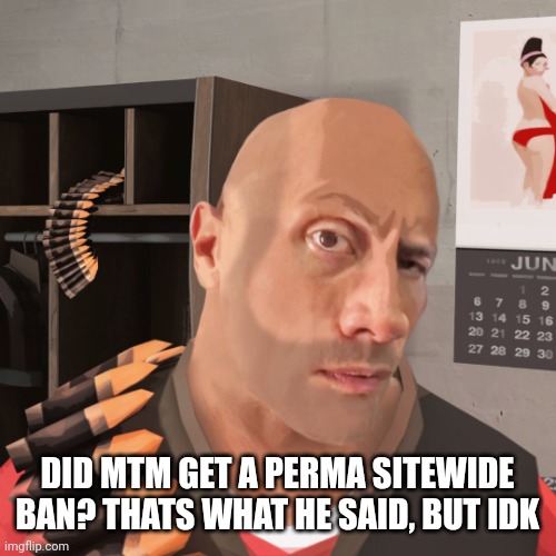 (Carl Johnson), | DID MTM GET A PERMA SITEWIDE BAN? THATS WHAT HE SAID, BUT IDK | image tagged in tf2 eyebrow | made w/ Imgflip meme maker