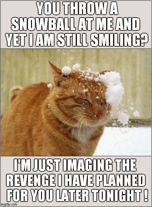 Cat Snowball Consequences ! | YOU THROW A SNOWBALL AT ME AND 
YET I AM STILL SMILING? I'M JUST IMAGING THE 
REVENGE I HAVE PLANNED
 FOR YOU LATER TONIGHT ! | image tagged in cats,snowball,consequences,revenge | made w/ Imgflip meme maker