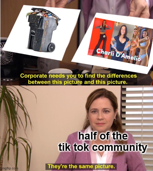 They're The Same Picture |  half of the tik tok community | image tagged in memes,they're the same picture,trash,charlie | made w/ Imgflip meme maker