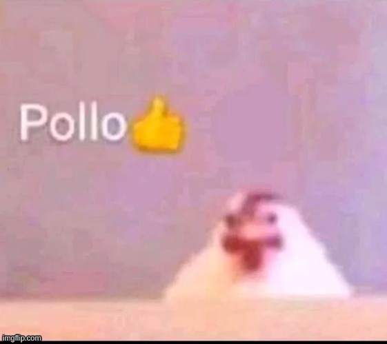 pollo | image tagged in yay,thumbs up | made w/ Imgflip meme maker