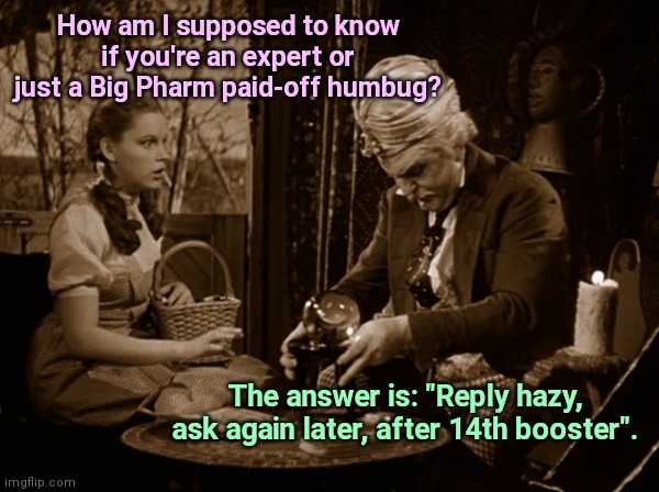 Big Pharma boosts public confidence | How am I supposed to know if you're an expert or just a Big Pharm paid-off humbug? The answer is: "Reply hazy, ask again later, after 14th booster". | image tagged in wizard of oz dorothy and professor marvel,big pharma,corporate greed,lies,vaccines,sheeple | made w/ Imgflip meme maker