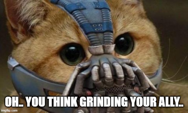 Bane Cat | OH.. YOU THINK GRINDING YOUR ALLY.. | image tagged in bane cat | made w/ Imgflip meme maker