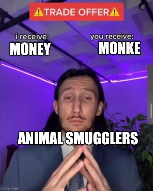 trade time | MONKE; MONEY; ANIMAL SMUGGLERS | image tagged in i receive you receive | made w/ Imgflip meme maker