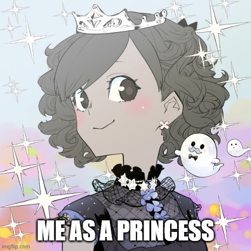 memer princess | ME AS A PRINCESS | image tagged in princess | made w/ Imgflip meme maker