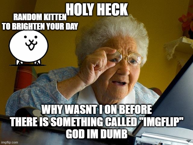When Grandma Finds Imgflip |  HOLY HECK; RANDOM KITTEN TO BRIGHTEN YOUR DAY; WHY WASNT I ON BEFORE
THERE IS SOMETHING CALLED "IMGFLIP"
GOD IM DUMB | image tagged in memes,grandma finds the internet,cat,imgflip,funny | made w/ Imgflip meme maker