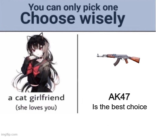 Choose gun now. | AK47; Is the best choice | image tagged in choose wisely,guns | made w/ Imgflip meme maker