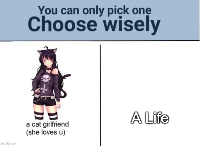 Yep. | A Life | image tagged in choose wisely | made w/ Imgflip meme maker