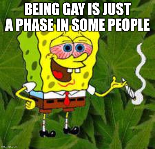 Weed | BEING GAY IS JUST A PHASE IN SOME PEOPLE | image tagged in weed | made w/ Imgflip meme maker