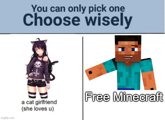 PICK MINECRAFT PLEEEEEEEEEZ | Free Minecraft | image tagged in choose wisely,minecraft | made w/ Imgflip meme maker