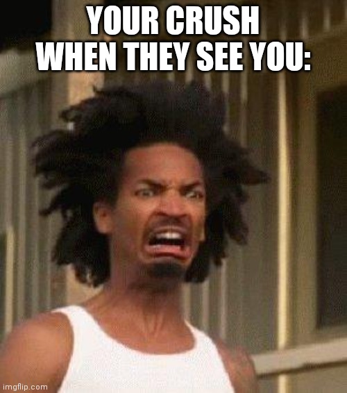 Disgusted Face | YOUR CRUSH WHEN THEY SEE YOU: | image tagged in disgusted face | made w/ Imgflip meme maker