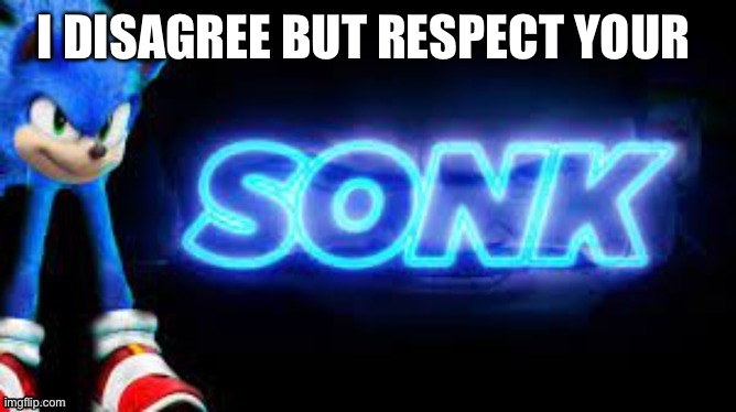 sonk | I DISAGREE BUT RESPECT YOUR OPINION | image tagged in sonk | made w/ Imgflip meme maker